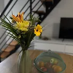 Studio Apartman \